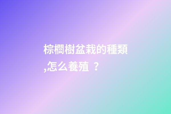 棕櫚樹盆栽的種類,怎么養殖？